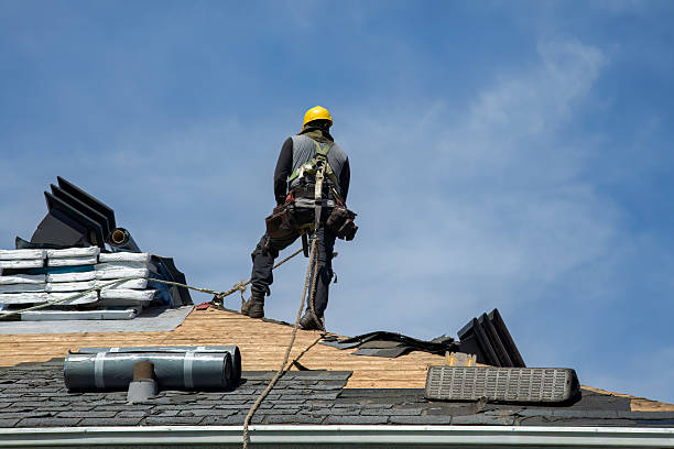 Professional Flat Roof Repair technician working in Colfax, IA